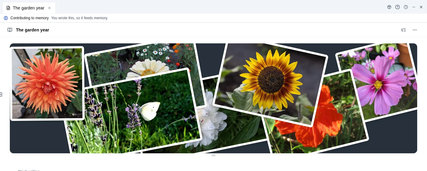 A Tidy collage titled The garden year: dahlia, zinnias, lavender with a butterfly, peony, sunflower, nasturtiums and cosmos, laid out as scattered prints.